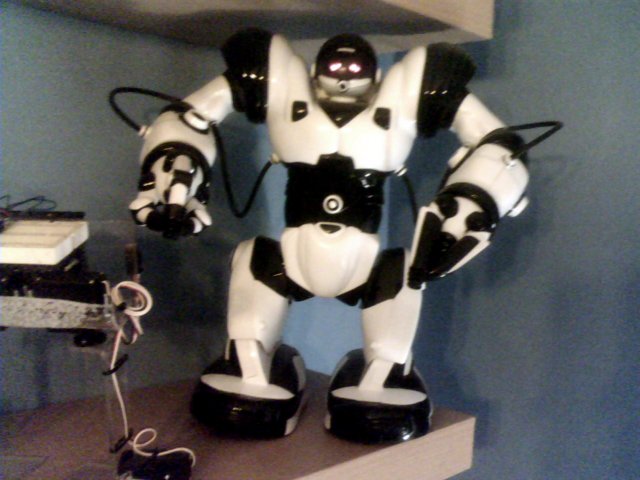 El famoso Robosapiens